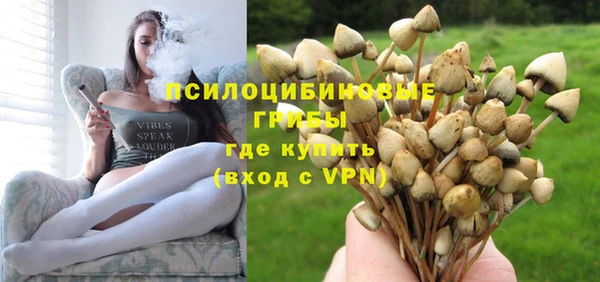 скорость Приозерск
