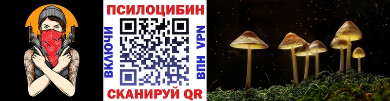 Псилоцибиновые грибы GOLDEN TEACHER  блэк спрут онион  Моршанск 